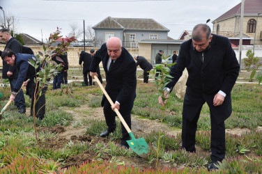 Şirvanda Xocalı soyqırımı qurbanlarının xatirəsinə həsr olunmuş ağacəkmə aksiyası keçirilib.