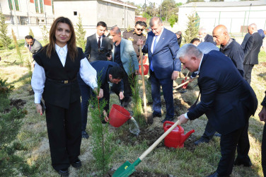Şirvanda Ulu Öndər Heydər Əliyevin anadan olmasının 103 illiyinə həsr olunmuş ağacəkmə aksiyası keçirilib.