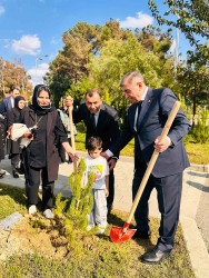 Şirvanda Anım Gününə həsr olunmuş ağacəkmə aksiyası keçirilib