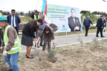 Şirvanda Ümummili lider Heydər Əliyevin anadan olmasının 100 illiyinə həsr olunmuş növbəti ağacəkmə aksiyası keçirilib.