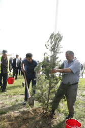 Şirvanda 28 May – Müstəqillik Gününə həsr olunmuş tədbir keçirilib.