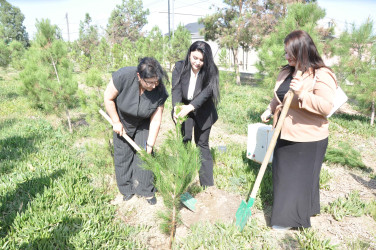 27 sentyabr – Anım Günü Şirvan şəhərində silsilə tədbirlərlə qeyd edilir.