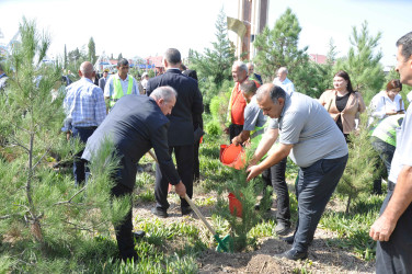 27 sentyabr – Anım Günü Şirvan şəhərində silsilə tədbirlərlə qeyd edilir.