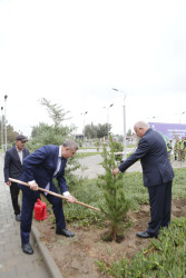 Şirvanda 18 oktyabr - Müstəqilliyin Bərpası Günü münasibətilə ağacəkmə aksiyası keçirilib.