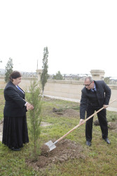 Şirvanda Dövlət Bayrağı Günü münasibətilə ağacəkmə aksiyası keçirilib.