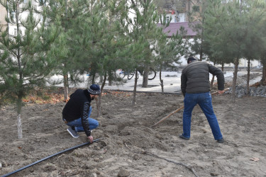 Şirvan şəhərində “Bizim həyət” layihəsi çərçivəsində üçüncü məhəllə abadlaşır.