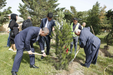 Şirvanda 28 May – Müstəqillik Gününə həsr olunmuş tədbir keçirilib.