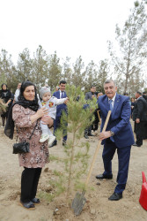 Şirvan şəhərində 27 sentyabr - Anım Günü münasibətilə ağacəkmə aksiyası keçirilib.