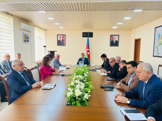 Şirvan Səhər İcra Hakimiyyətinin başçısı İlqar Abbasov növbəti vətəndaş qəbulu keçirib.