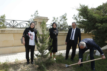 Şirvanda 28 May – Müstəqillik Gününə həsr olunmuş tədbir keçirilib.