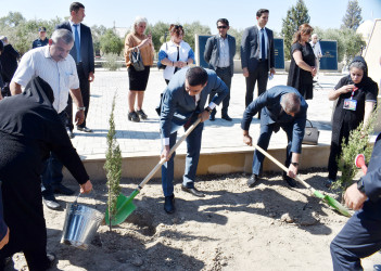 Şirvan şəhərində 27 sentyabr-Anım Günü münasibətilə ağacəkmə aksiyası keçirilib.