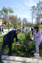 Şirvanda Ulu Öndər Heydər Əliyevin anadan olmasının 102-ci ildönümü münasibətilə ağacəkmə aksiyası keçirilib.