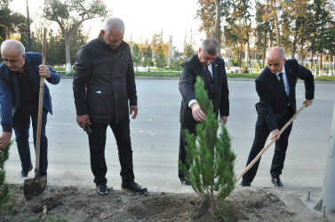 Şirvanda Yeni Azərbaycan Partiyasının təsis edilməsinin 32 illiyinə həsr olunmuş ağacəkmə aksiyası keçirilib.