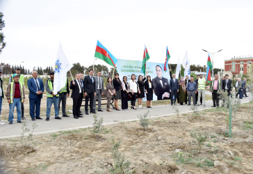 Şirvanda Ümummili lider Heydər Əliyevin anadan olmasının 100 illiyinə həsr olunmuş növbəti ağacəkmə aksiyası keçirilib.