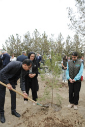 Şirvan şəhərində 27 sentyabr - Anım Günü münasibətilə ağacəkmə aksiyası keçirilib.