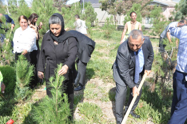 27 sentyabr – Anım Günü Şirvan şəhərində silsilə tədbirlərlə qeyd edilir.
