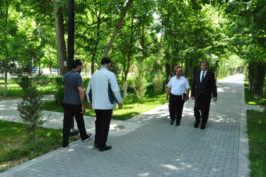 Şirvanda “Şəhərsalma və Memarlıq İli” çərçivəsində görülən abadlıq işləri davam etdirilir.