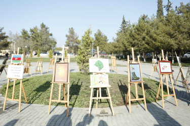 Şirvanda Zəfər yürüşü keçirilib.