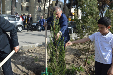 Şirvan şəhərində Ümummilli lider, Ulu Öndər Heydər Əliyevin anadan olmasının 102-ci ildönümü münasibətilə növbəti ağacəkmə aksiyası keçirilib.