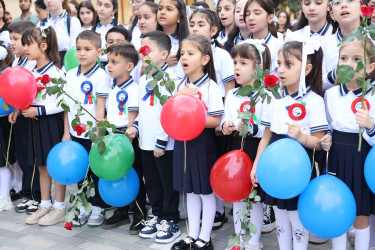 Şirvanda Bilik Günü qeyd edilib.