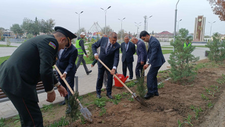 Şirvanda Zəfər Günü münasibətilə ağacəkmə aksiyası keçirilib.