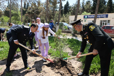 Şirvanda Ulu Öndər Heydər Əliyevin anadan olmasının 102-ci ildönümü münasibətilə ağacəkmə aksiyası keçirilib.