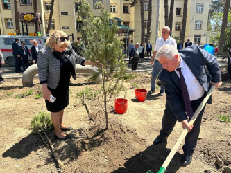 Şirvanda Ulu Öndər Heydər Əliyevin anadan olmasının 102-ci ildönümü münasibətilə ağacəkmə aksiyası keçirilib.