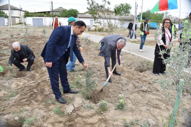 Şirvanda Ümummili lider Heydər Əliyevin anadan olmasının 100 illiyinə həsr olunmuş növbəti ağacəkmə aksiyası keçirilib.