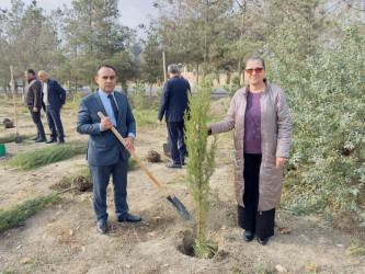 Zəfər Günü münasibətilə ağacəkmə aksiyası keçirilib.