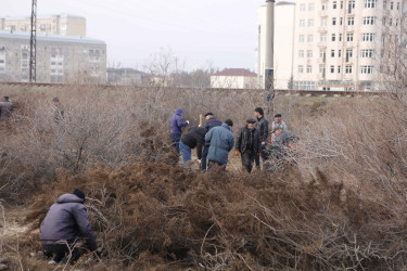 Şirvan şəhərində növbəti iməcilik Ln-t İbrahimov  və S.Zeynalov küçələrində təşkil olunub.