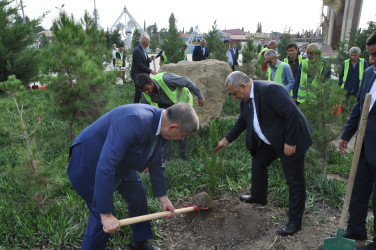 Şirvanda Müstəqilliyin Bərpası Günü qeyd edilib, ağacəkmə aksiyası keçirilib.