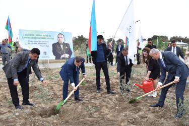 Şirvanda Ümummili lider Heydər Əliyevin anadan olmasının 100 illiyinə həsr olunmuş növbəti ağacəkmə aksiyası keçirilib.