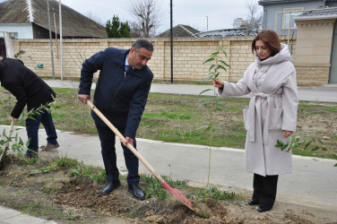 Şirvanda Xocalı soyqırımı qurbanlarının xatirəsinə həsr olunmuş ağacəkmə aksiyası keçirilib.