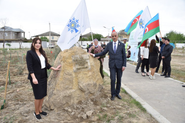 Şirvanda Ümummili lider Heydər Əliyevin anadan olmasının 100 illiyinə həsr olunmuş növbəti ağacəkmə aksiyası keçirilib.