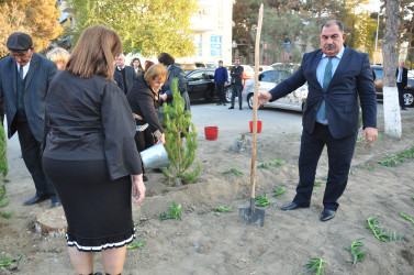 Şirvanda Yeni Azərbaycan Partiyasının təsis edilməsinin 32 illiyinə həsr olunmuş ağacəkmə aksiyası keçirilib.