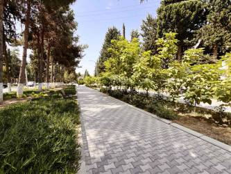 Şirvan şəhərində növbəti iməcilik təşkil olunub.