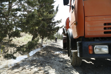 Şirvanda yaşıllıqların suvarılması işləri davam etdirilir.