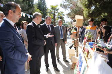 Şirvanda “Peşə və sənət” festivalı təşkil olunub.