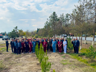 Zəfər Günü münasibətilə ağacəkmə aksiyası keçirilib.