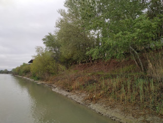 Şirvan şəhərində Kür çayı sahilində "Bulvar" salınması və "İsmət Qayıbov adına park"ın yenidən qurulması ilə əlaqədar müsabiqə.