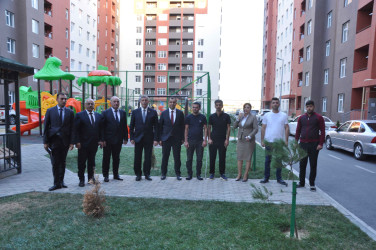 Şirvan Şəhər İcra Hakimiyyətinin başçısı İlqar Abbasov Anım Günü ərəfəsində şəhid ailələrini və müharibə əlillərini ziyarət edib.