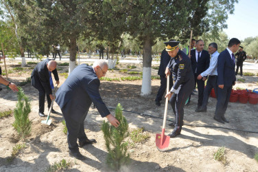 Şirvan şəhərində 27 Sentyabr – Anım Gününə həsr olunmuş tədbir keçirilib.
