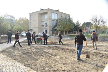 Şirvan şəhərində “Bizim həyət” layihəsi çərçivəsində üçüncü məhəllə abadlaşır.