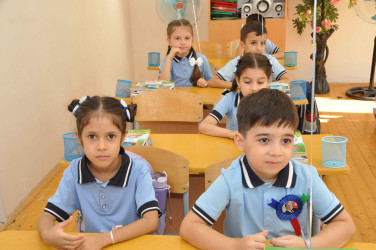 Şirvan şəhərində Bilik Gününə həsr olunmuş tədbirlər keçirilib.