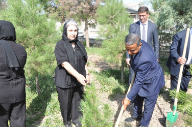 27 sentyabr – Anım Günü Şirvan şəhərində silsilə tədbirlərlə qeyd edilir.