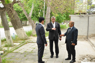 “Şəhərsalma və Memarlıq İli” çərçivəsində Şirvan şəhərində genişmiqyaslı abadlıq və yenidənqurma işləri davam etdirilir.