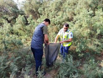 “Konstitusiya və Suverenlik İli” çərçivəsində Şirvanda növbəti təmizlik aksiyası keçirilib.