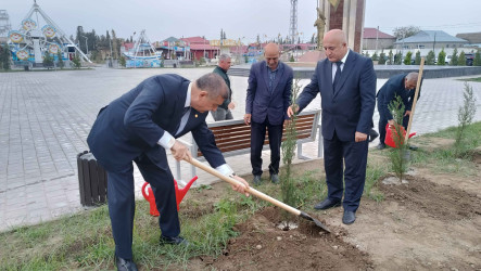 Şirvanda Zəfər Günü münasibətilə ağacəkmə aksiyası keçirilib.