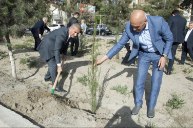 Şirvan şəhərində Ümummilli lider, Ulu Öndər Heydər Əliyevin anadan olmasının 102-ci ildönümü münasibətilə növbəti ağacəkmə aksiyası keçirilib.