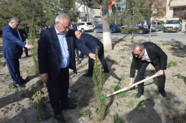 Şirvan şəhərində Ümummilli lider, Ulu Öndər Heydər Əliyevin anadan olmasının 102-ci ildönümü münasibətilə növbəti ağacəkmə aksiyası keçirilib.